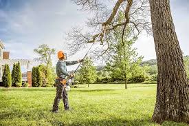 Best Lawn Maintenance Plans  in Union, MO