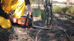 Best Lawn Pest Prevention  in Union, MO
